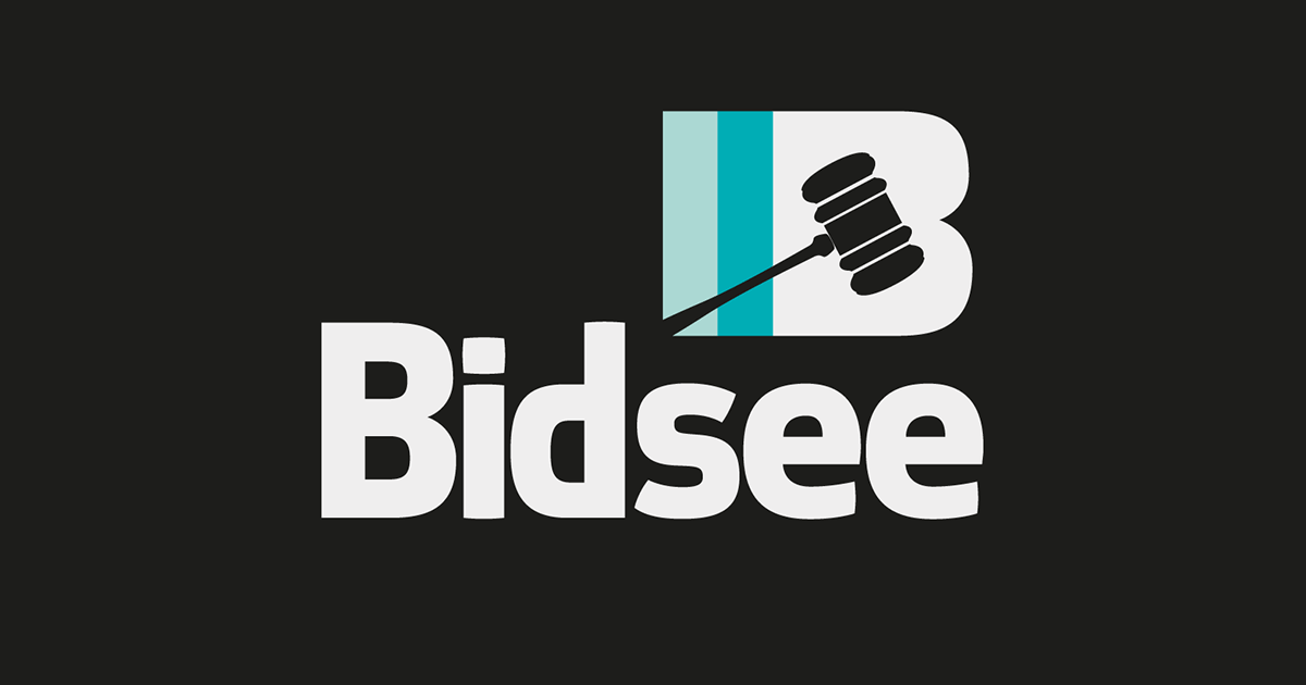 Preview image published by bidsee.app